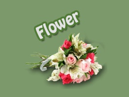 ~~ To celebrate our launch we are making our Flowers Stickers pack FREE for a limited time only