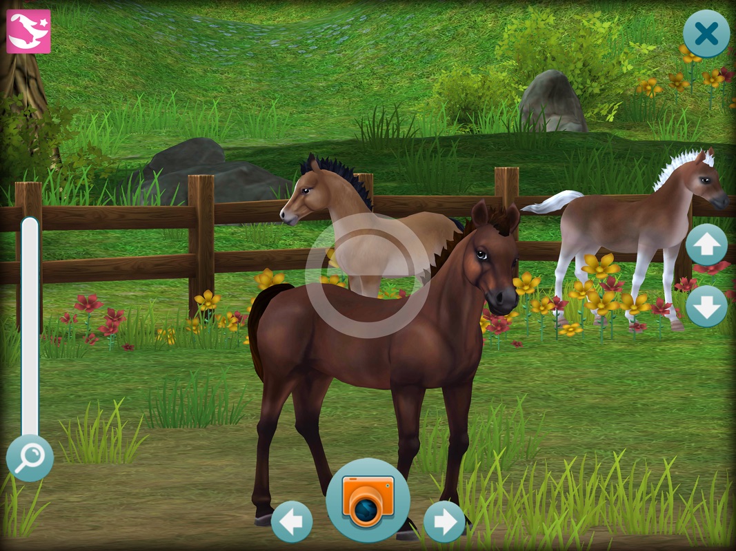 Star Stable Horses Online Game Hack and Cheat