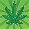 Legalize It!