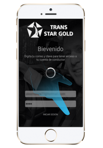 Trans Star Gold - náhled