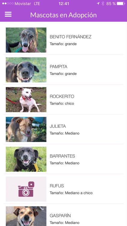 Mascotas en Adopción