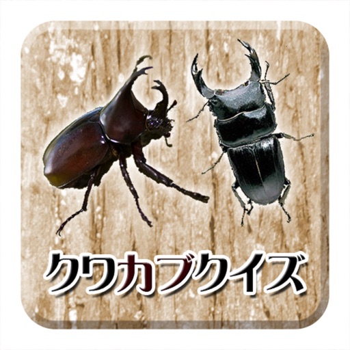 クワガタ・カブトムシがわかる！クワカブクイズ icon