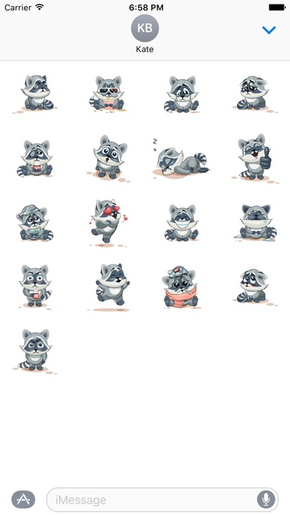 Raccoon Stickers