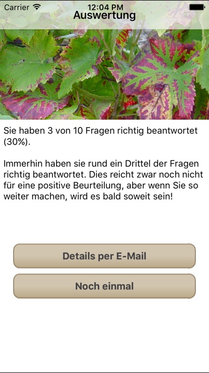 Weinquiz Allgemein screenshot-4