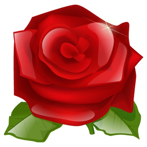 FlowerMessage icon