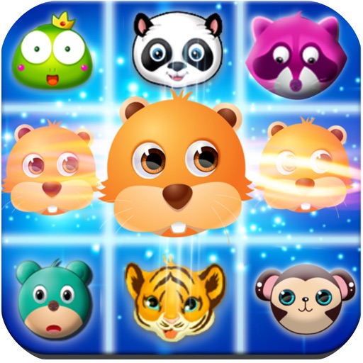 Pet Match - Sweet Play Game Icon