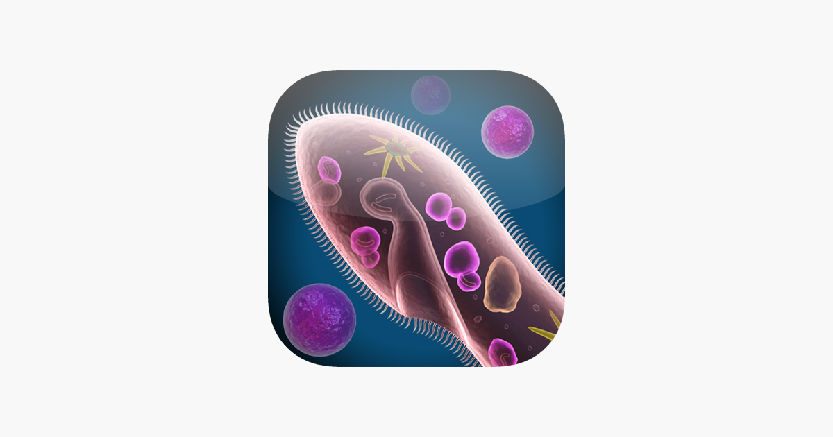 Cell And Structure On The App Cell And Structure On The App