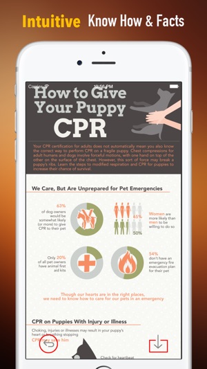 How to Perform CPR on Your Pet:Manual(圖1)-速報App