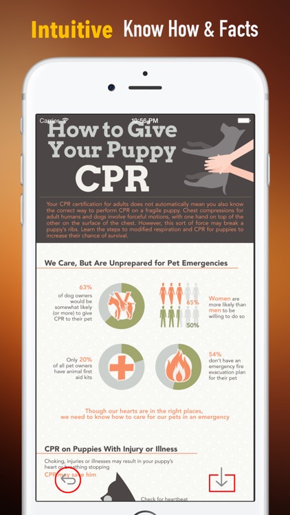 How to Perform CPR on Your Pet:Manual