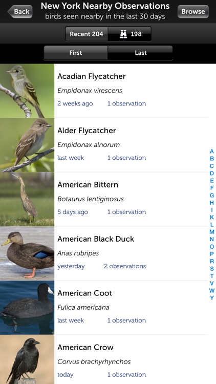 Audubon Birds of Central Park screenshot-3