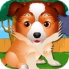 Train the Clumsy Dog for Pet Haven Unlimited Slots