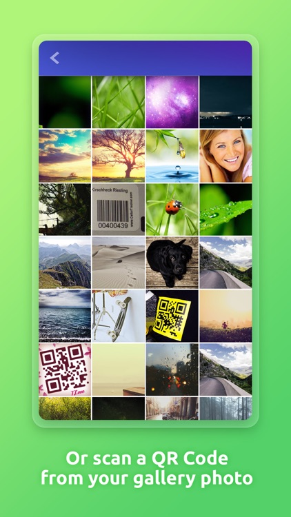 QR Code Scanner 'n' Generator