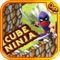 Cube Ninja is nice racing game, Ninja Cube is a cool  Running Game