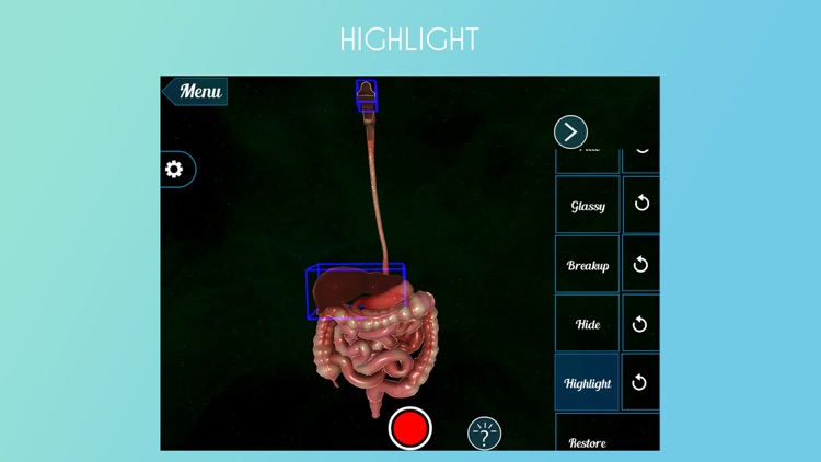 Human Alimentary Canal 3D