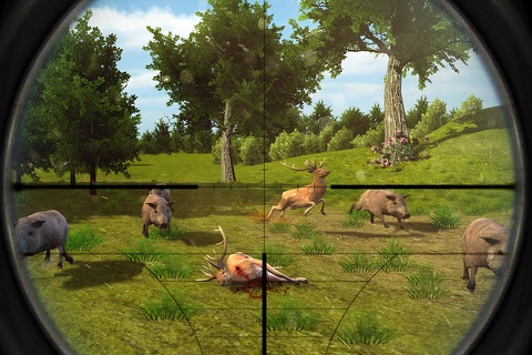 Deer Hunting African Savanna screenshot 3