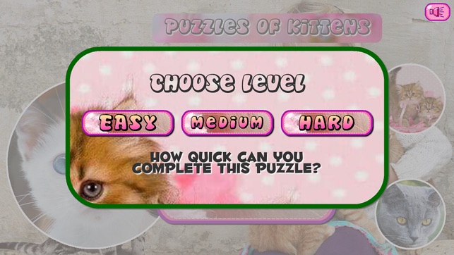 Puzzles of Kittens(圖2)-速報App