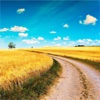 Wallpapers for Country Road: Quotes Backgrounds with Art Pictures