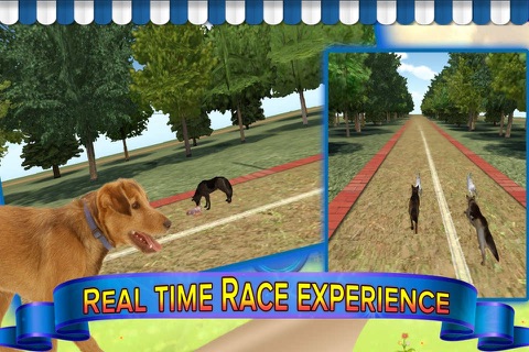 Subway Dog and Angry Rabbit Endless Running Race: Wacky Obstacles and Temple Surfers screenshot 3