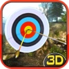 World Sport Archer - Master Shooting