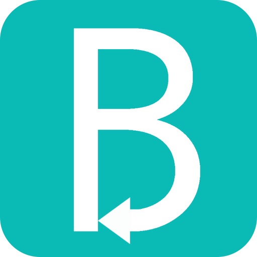 Biware - Assistant d'aide à la conduite icon