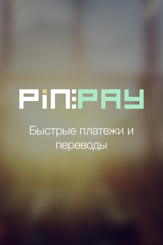 PIN:PAY screenshot 2