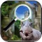 Hidden Object Private Museum