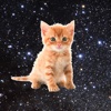 Space Kitties - funny game that makes you save kittens by tapping