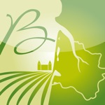 SIG du Vin de Bordeaux