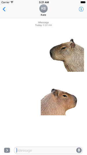 Capybara Stickers for iMessage(圖4)-速報App