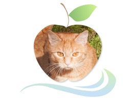 "Applecreek's Farm" sticker pack is for all who love animals and would like to show to others