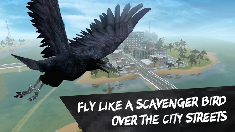 City Crow Simulator 3D