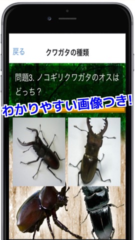 クワガタ・カブトムシがわかる！クワカブクイズのおすすめ画像2