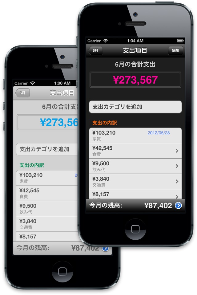 家計簿くんPro screenshot 3