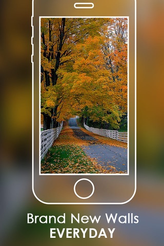 Free Autumn Wallpapers | Best HD Backgrounds screenshot 4