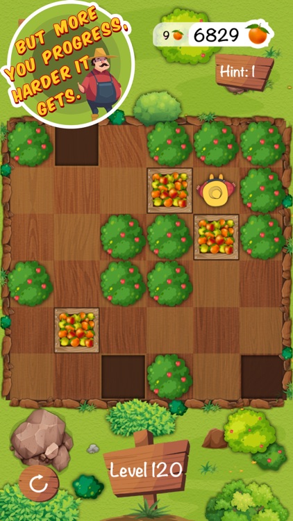 My Sokoban Puzzles screenshot-3