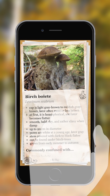 The Mushroom Book PRO