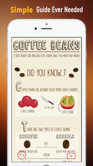 How to Pick Coffee Beans(圖2)-速報App