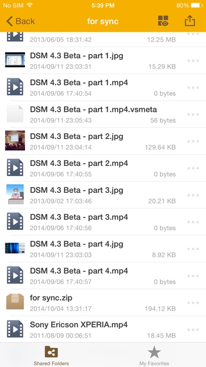 DS file