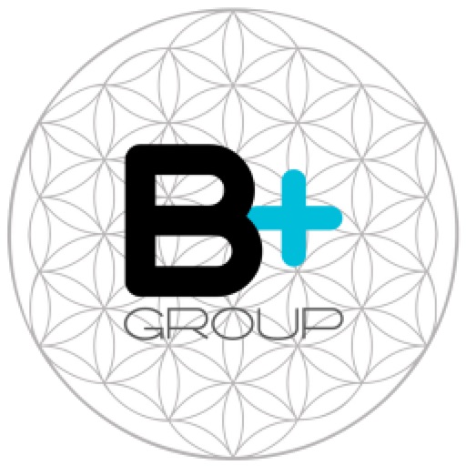 B+ Group | Full Services Contractors