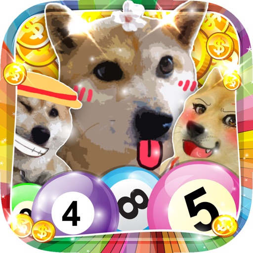 Super Bingo - Love Dog Mega Casino Doge Vegas iOS App