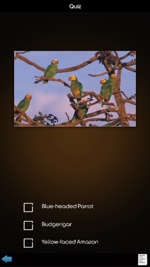 Parrot Species Guide(圖4)-速報App