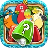 FIND ME Birds “ The Shuffle Finding Ball & Hidden Games ”