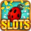 Identify Bugs and Insects Slot Machine: Extra Fun