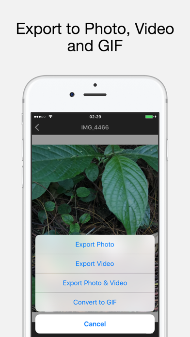 Live Exporter Pro: Li... screenshot1