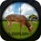 Best Shooter Deer: Hunting Forest is the best game in 2018 in a jungle sniper hunter of wild animal game