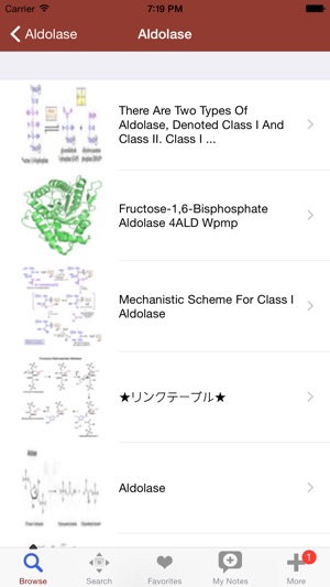 1000 醫療條款，條件和治療關節炎詞典和詞彙。