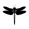 Dragonfly organic