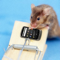 App Icon for Ultrasound Mouse Repelent App in Romania App Store