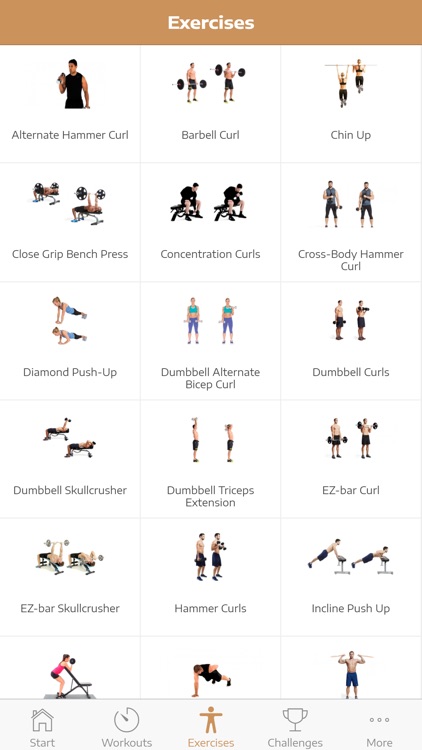 arm workout chart for women