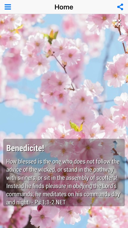 Walking With Jesus Devotional